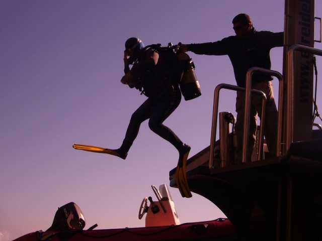  adelante para el gran salto 